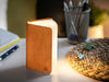 Ging-Ko Mini Fabric Smart Book Light - Harmony Orange