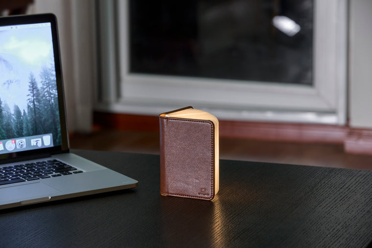Ging-Ko Mini Brown Leather Smart BookLight